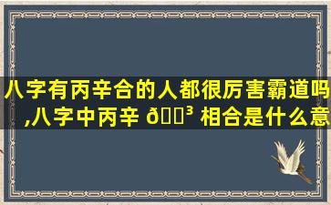 八字有丙辛合的人都很厉害霸道吗,八字中丙辛 🌳 相合是什么意思
